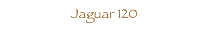  Jaguar 120
