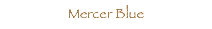 Mercer Blue
