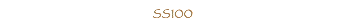  SS100